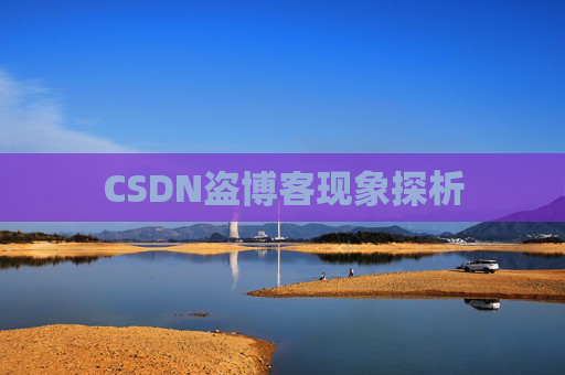 CSDN盗博客现象探析
